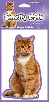 photo of Ginger & White Cat Air Freshener